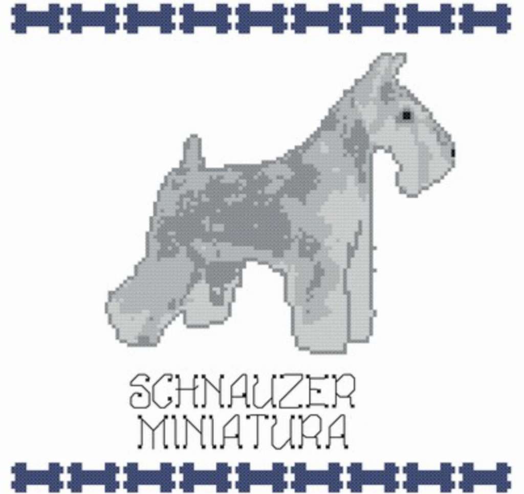 schnauzer